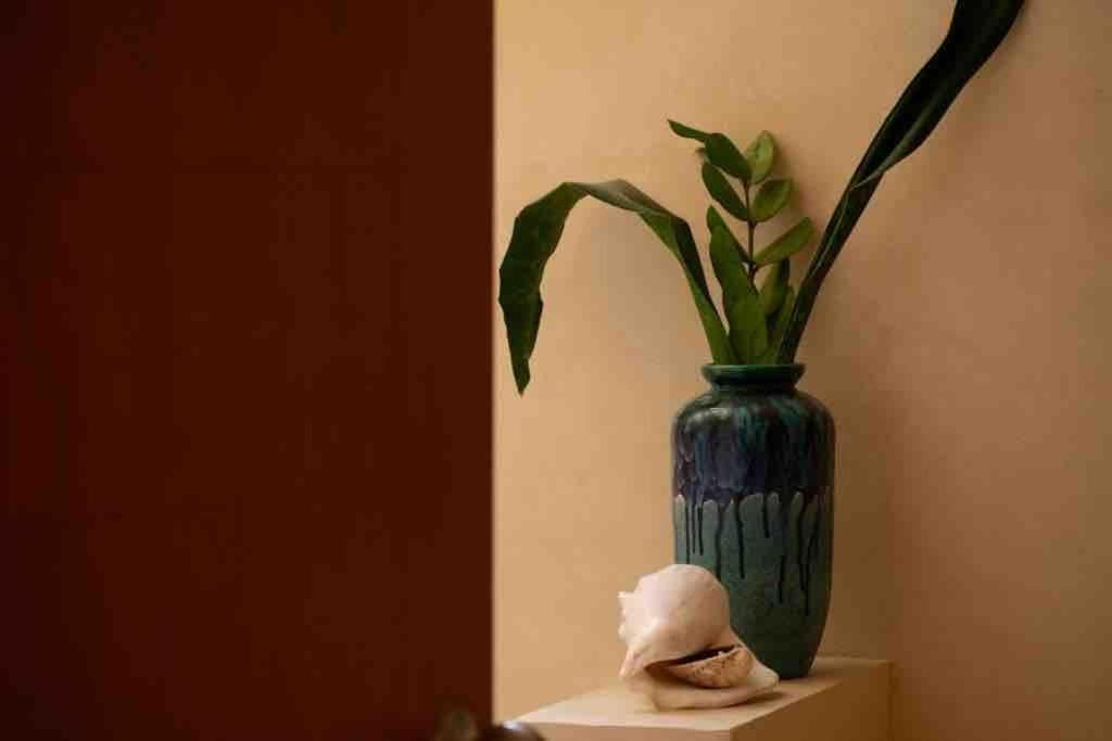 Disfruta En La Casa De Lola / Enjoy At Lolas House 프로그레소 외부 사진